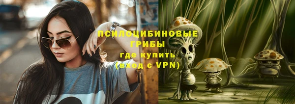 сатива Новодвинск