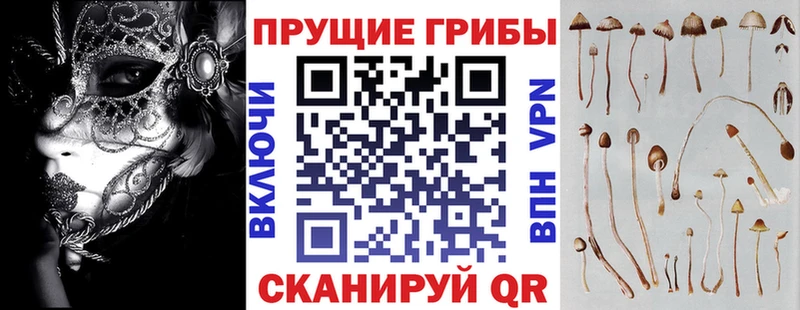Псилоцибиновые грибы Cubensis  Суздаль 